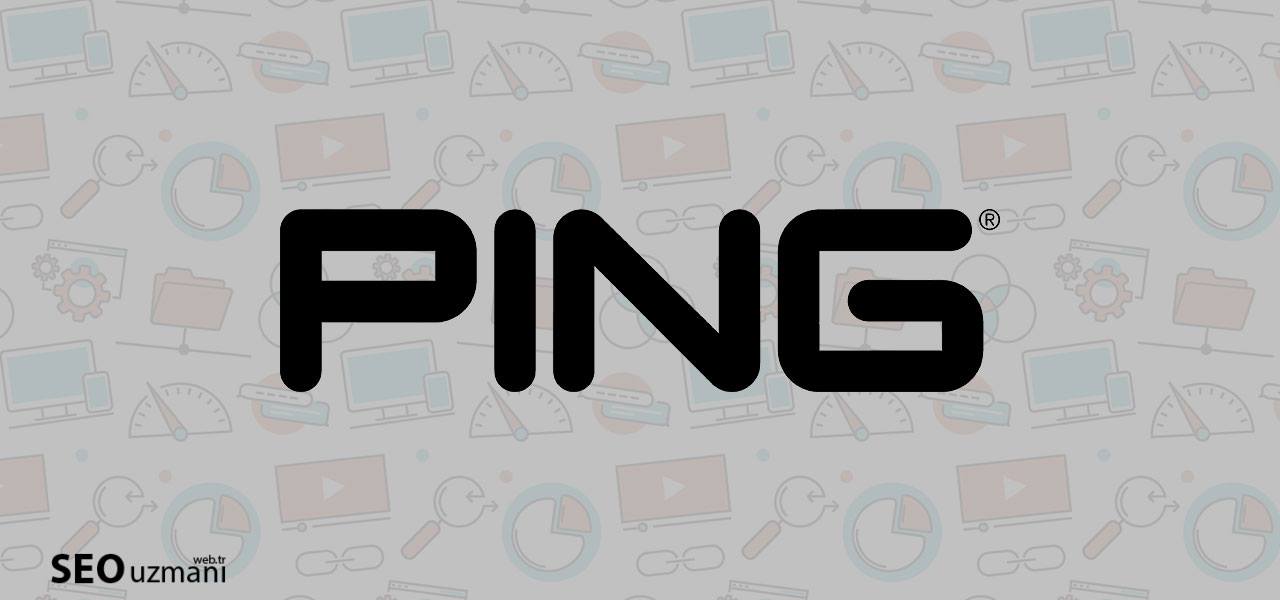 Ücretsiz En İyi 40+ Ping Gönderme Sitesi Listesi
